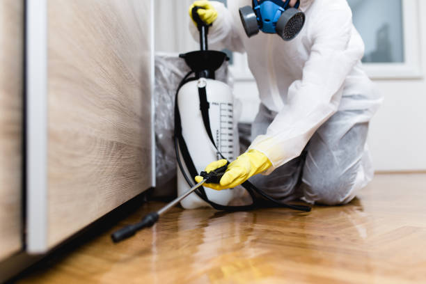 Best Rat Extermination Near Me  in Columbus, GA