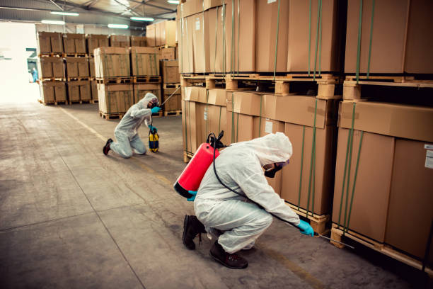 Best Affordable Pest Control Services  in Columbus, GA
