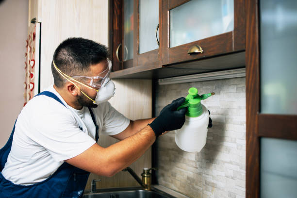 Best Emergency Pest Control  in Columbus, GA