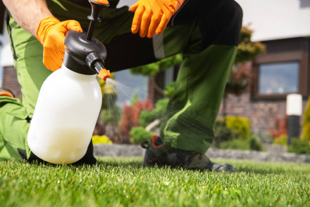 Best Insect Control  in Columbus, GA