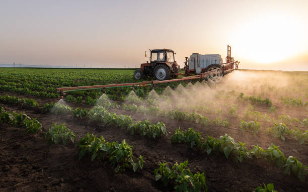 Best Mosquito Control Services  in Columbus, GA