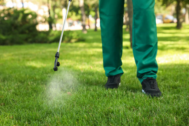 Best Local Pest Control Services  in Columbus, GA