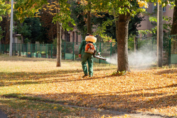 Best Pest Control Near Me in Columbus, GA