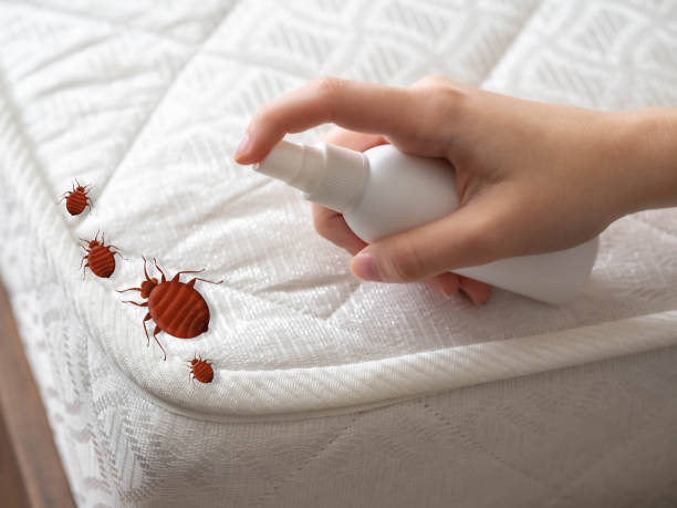 Best Flea Control Services  in Columbus, GA