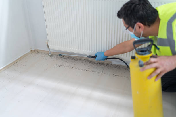 Best Wasp Removal Services  in Columbus, GA