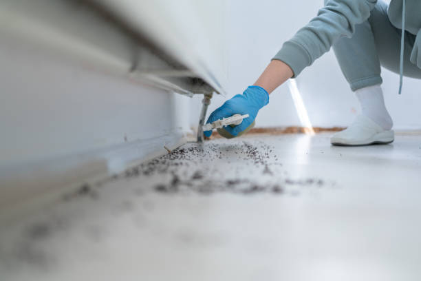 Wasp Removal Services in Columbus, GA